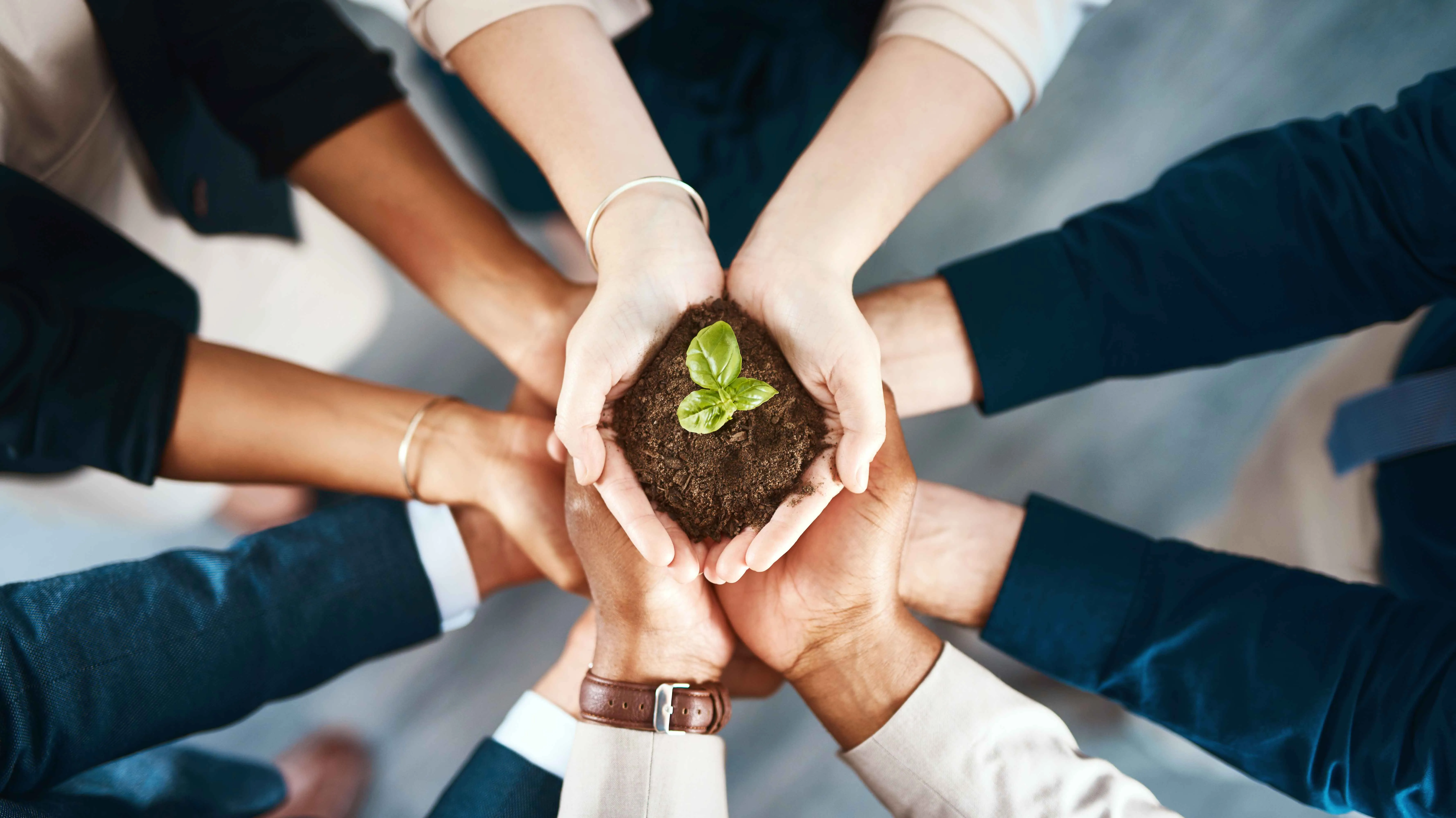 Ekologiczna optymalizacja biznesu